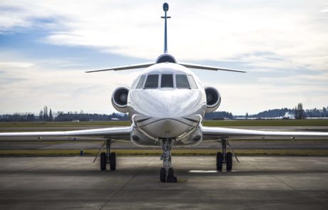Falcon-front